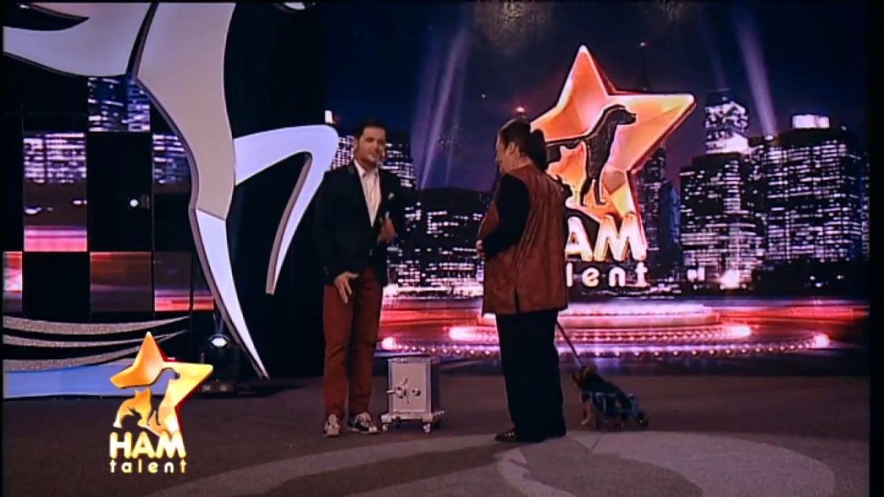 Pipe, câinele metis care nu ia spagă